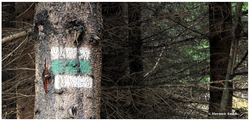 Na trase Olochová jama – Stolica značenej zelenou značkou